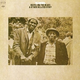 Taj Mahal Recycling The Blues & Other Related Stuff 2LP 180 Gram Vinyl 45rpm ORG Limited Edition USA