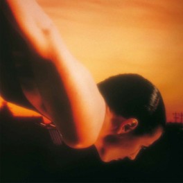 Porcupine Tree On The Sunday Of Life 2LP Vinyl Steven Wilson Remaster Transmission 2022 EU Porcupine Tree On The Sunday Of Life 2LP Vinyl Steven Wilson Remaster Transmission 2022 EU