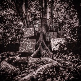 Kamasi Washington Harmony of Difference EP Vinil Young Turks Optimal Media Alemanha 2017 EU Kamasi Washington Harmony of Difference EP Vinil Young Turks Optimal Media Alemanha 2017 EU