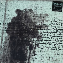 The Smashing Pumpkins Monuments to an Elegy LP Vinil 180gr Teargarden by Kaleidyscope EU