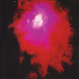 Porcupine Tree Up The Downstair 2LP Vinyl Steven Wilson Remaster Transmission Recordings 2021 EU Porcupine Tree Up The Downstair 2LP Vinyl Steven Wilson Remaster Transmission Recordings 2021 EU