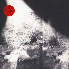 Godspeed You! Black Emperor Asunder, Sweet And Other Distress LP Vinil 180gr +Download +Poster 2015